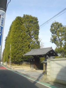 寺町通り